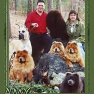 Amy and a friend posing with a big group of Chow Chows in the woods