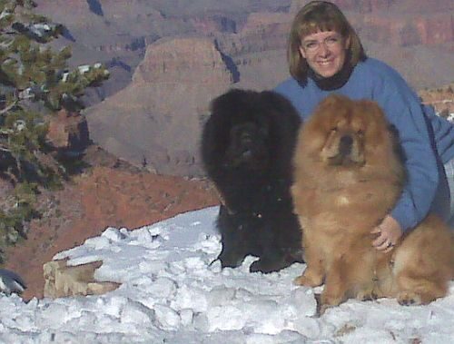 Amy with a black Chow and a red Chow at the Grand Canyon