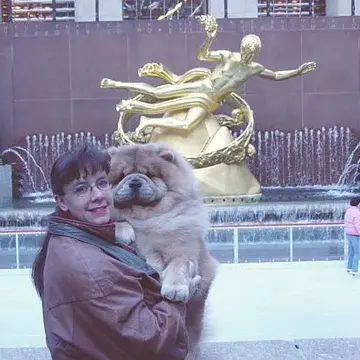 Amy holding a Chow Chow in front of the golden Prometheus statue at Rockefeller Center