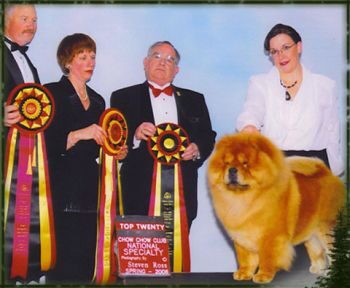 Amy with a red Chow Chow and a row of rosettes after winning the Top Twenty competition